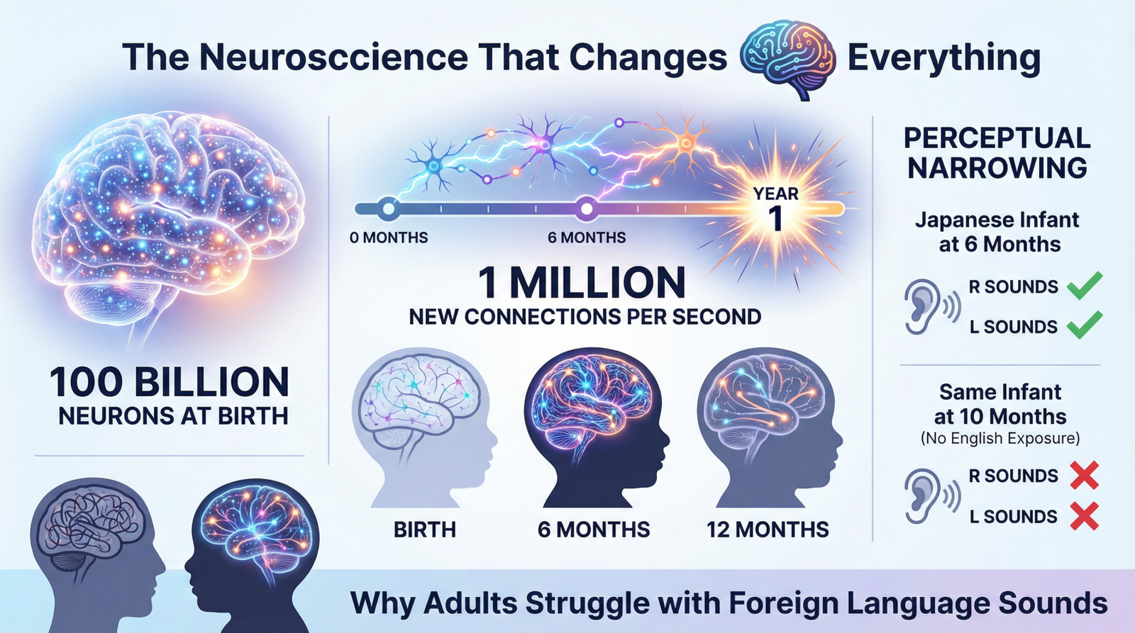 Teaching Infants to Read in Multiple Languages