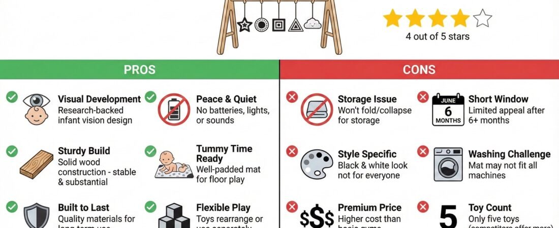 Manhattan Toy Wimmer-Ferguson Activity Gym Review: Developmental Focus Wins